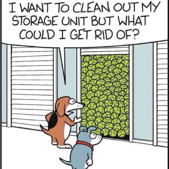 Meet your Posher, Christine Rae - Picture 6 of 8